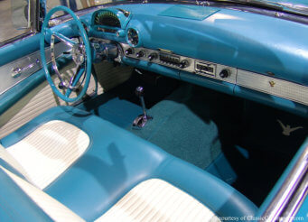 Blue peacock interior