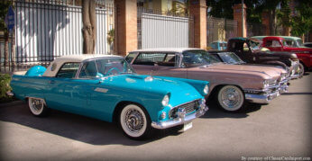 Exhibition and charity cruise 