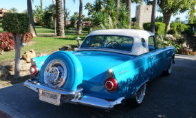 Thunderbird photoshooting