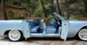 Suicide doors