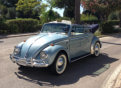 Beetle at its best