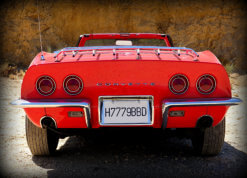 Stunning rear view
