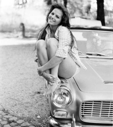 Cardinale VOLVO