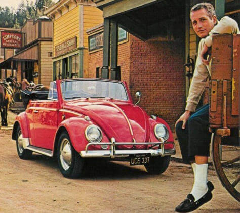 Paul Newman Beetle